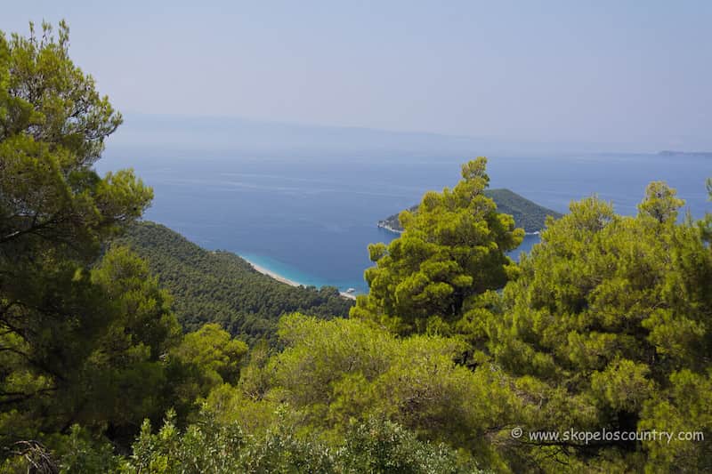 Delfi Mountain - The Scenic Route-Skopelos Cuuntry Villas